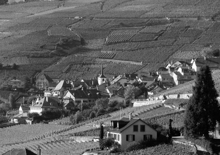 Guide paysage de la région de Lavaux
